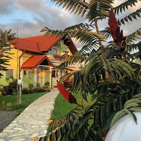 فندق House Antonia غرابوفاك المظهر الخارجي الصورة