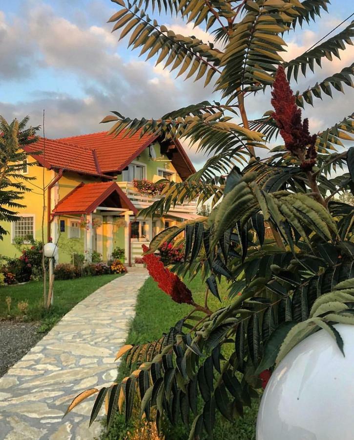 فندق House Antonia غرابوفاك المظهر الخارجي الصورة
